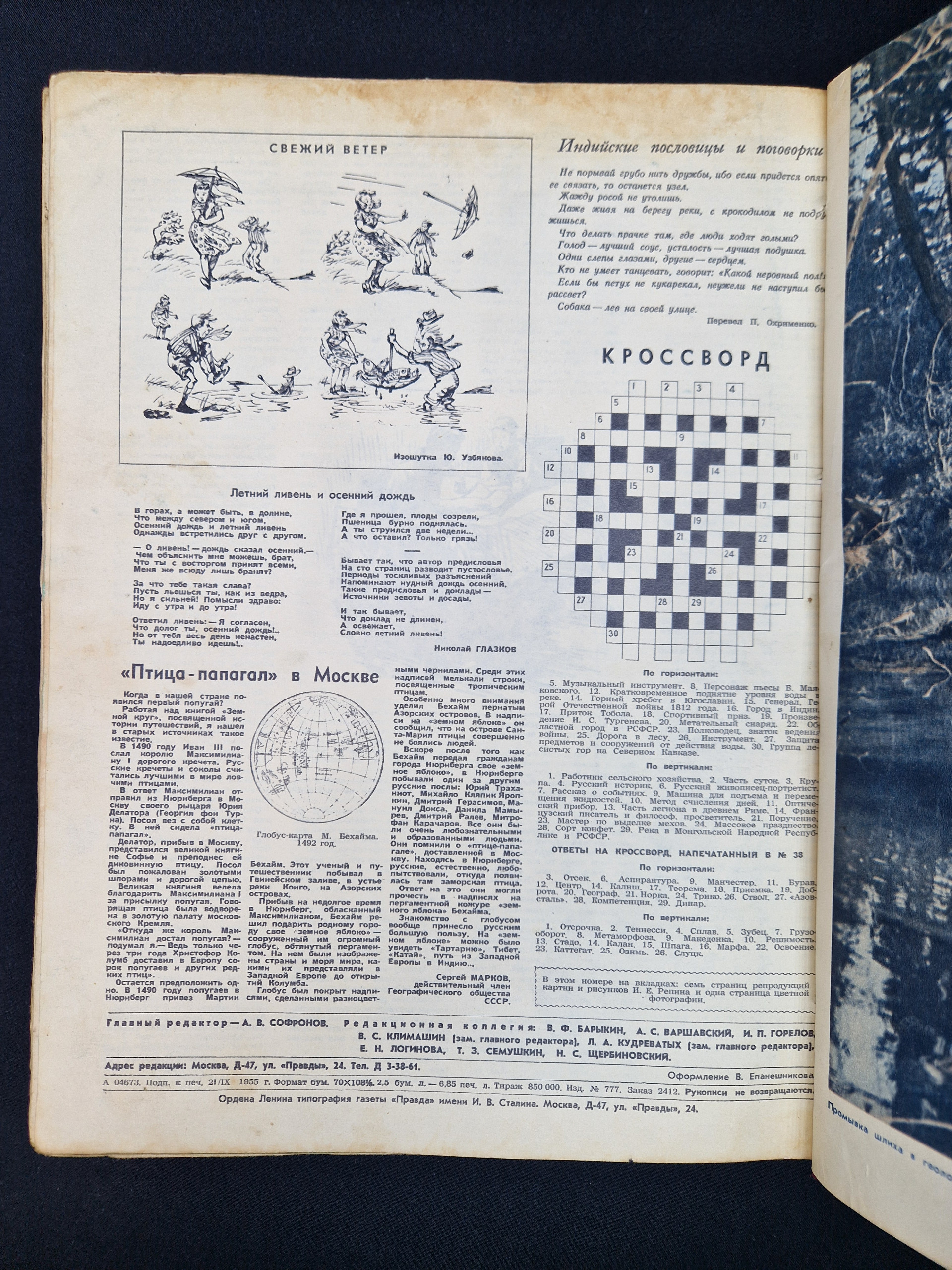 Картинка 5