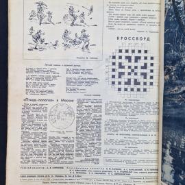 Картинка 5