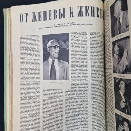 Картинка 6