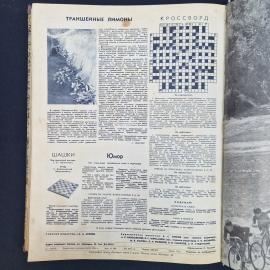 Картинка 5
