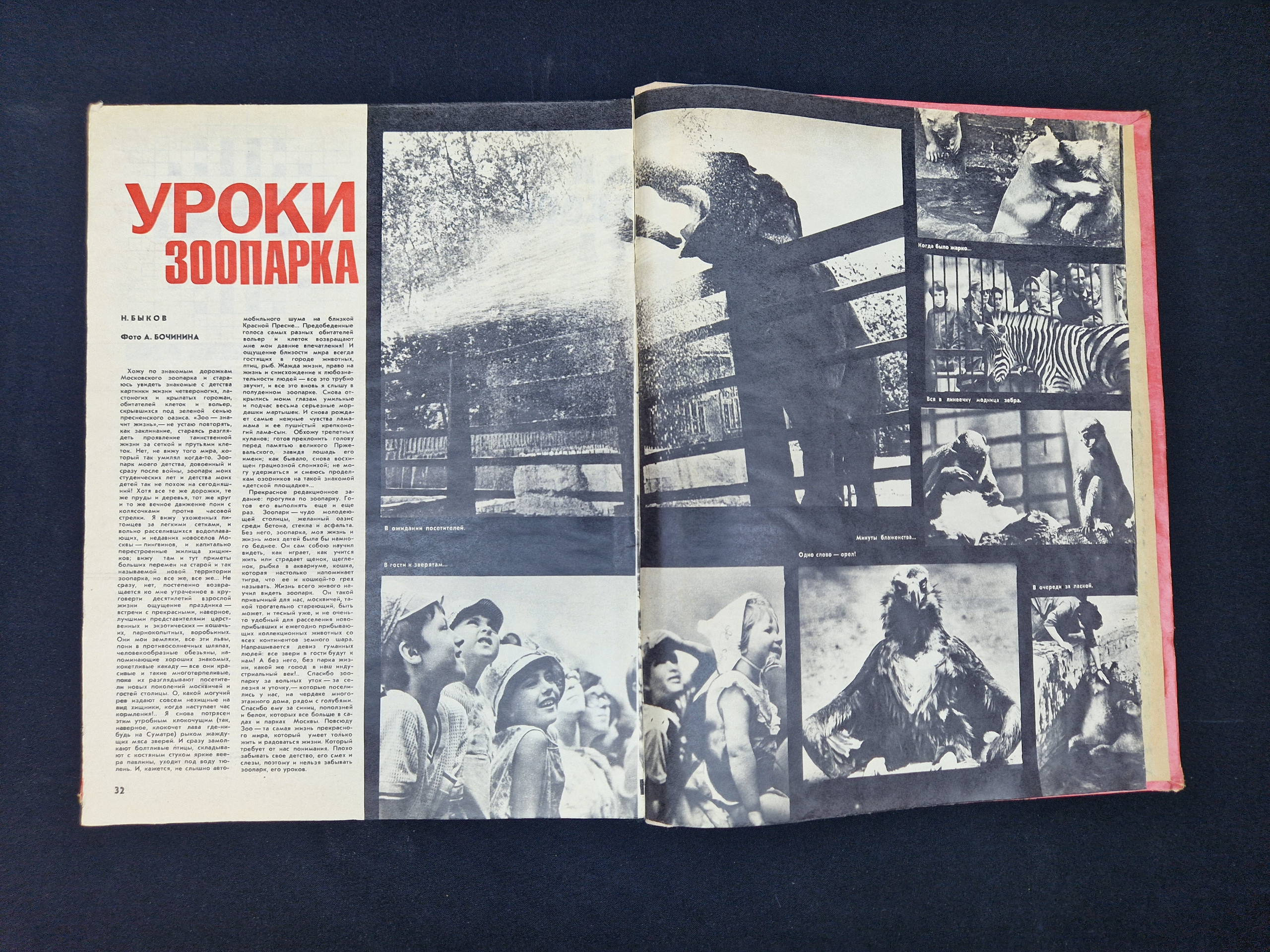 Картинка 3