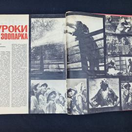 Картинка 3