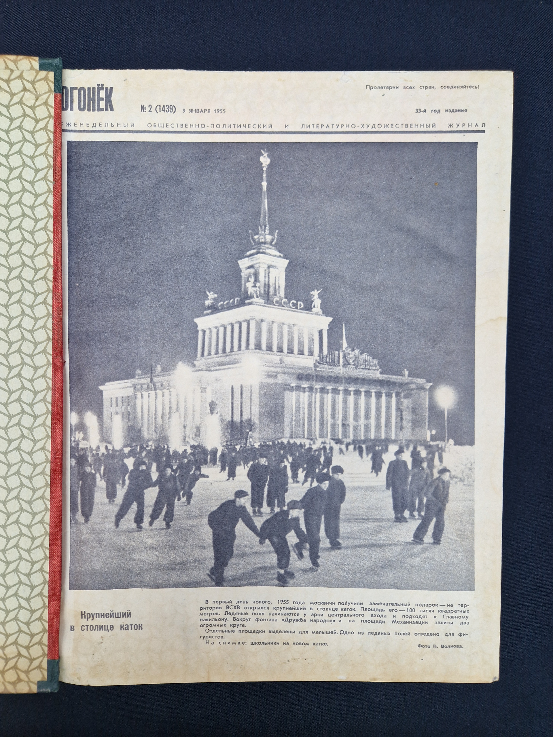 Картинка 8
