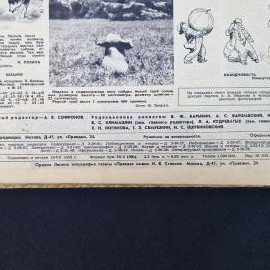 Картинка 4