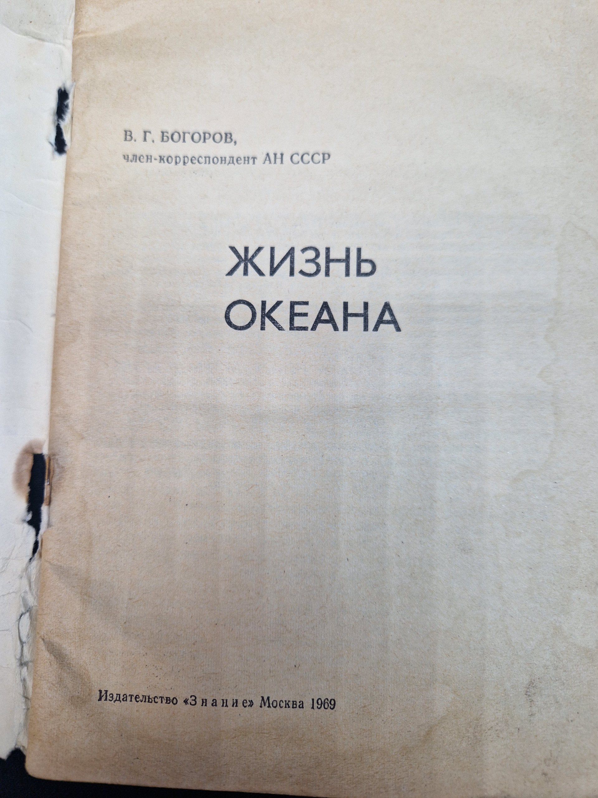 Картинка 4