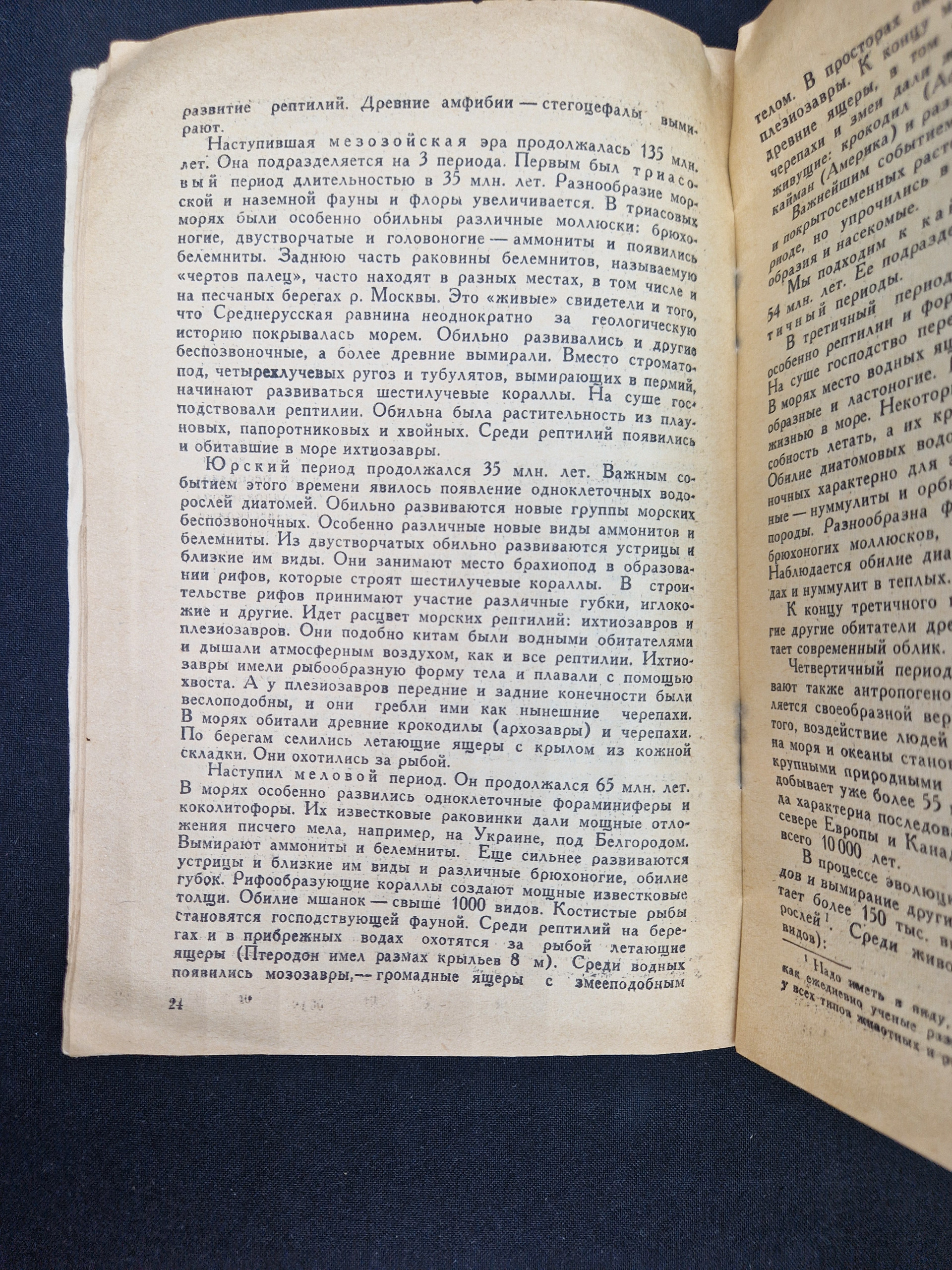 Картинка 6