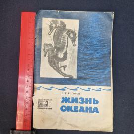 Картинка 9