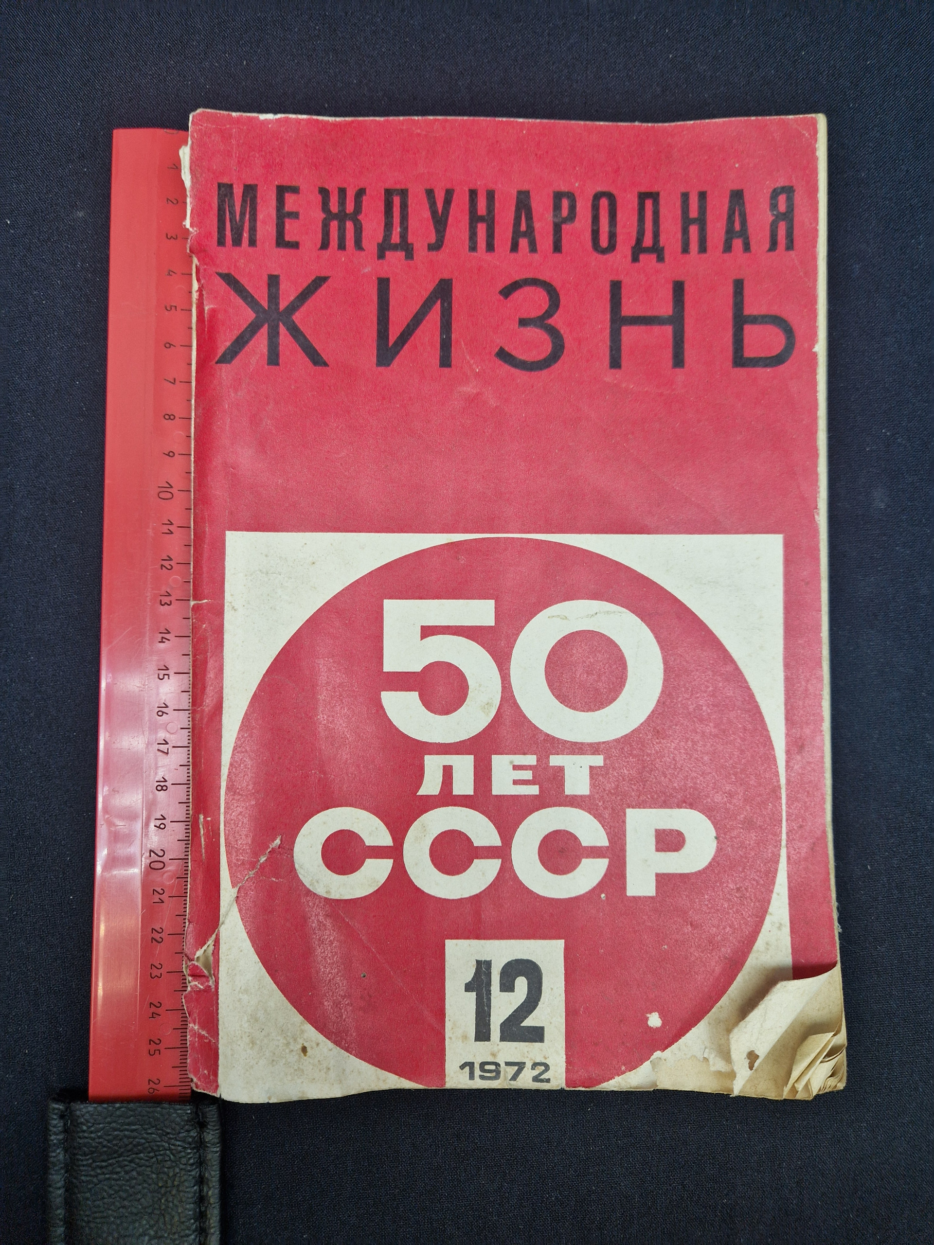 Картинка 10