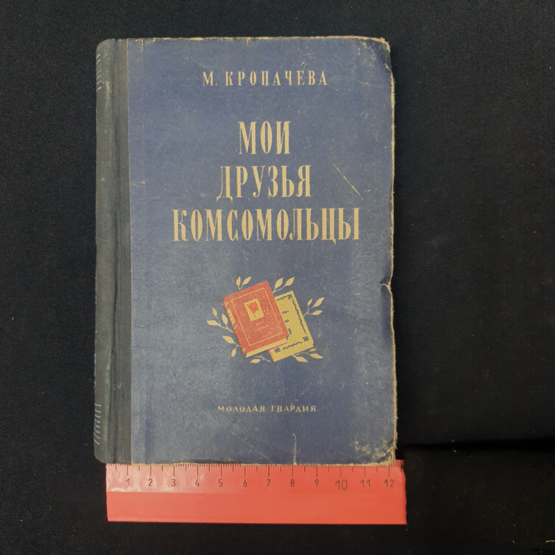 Картинка 6