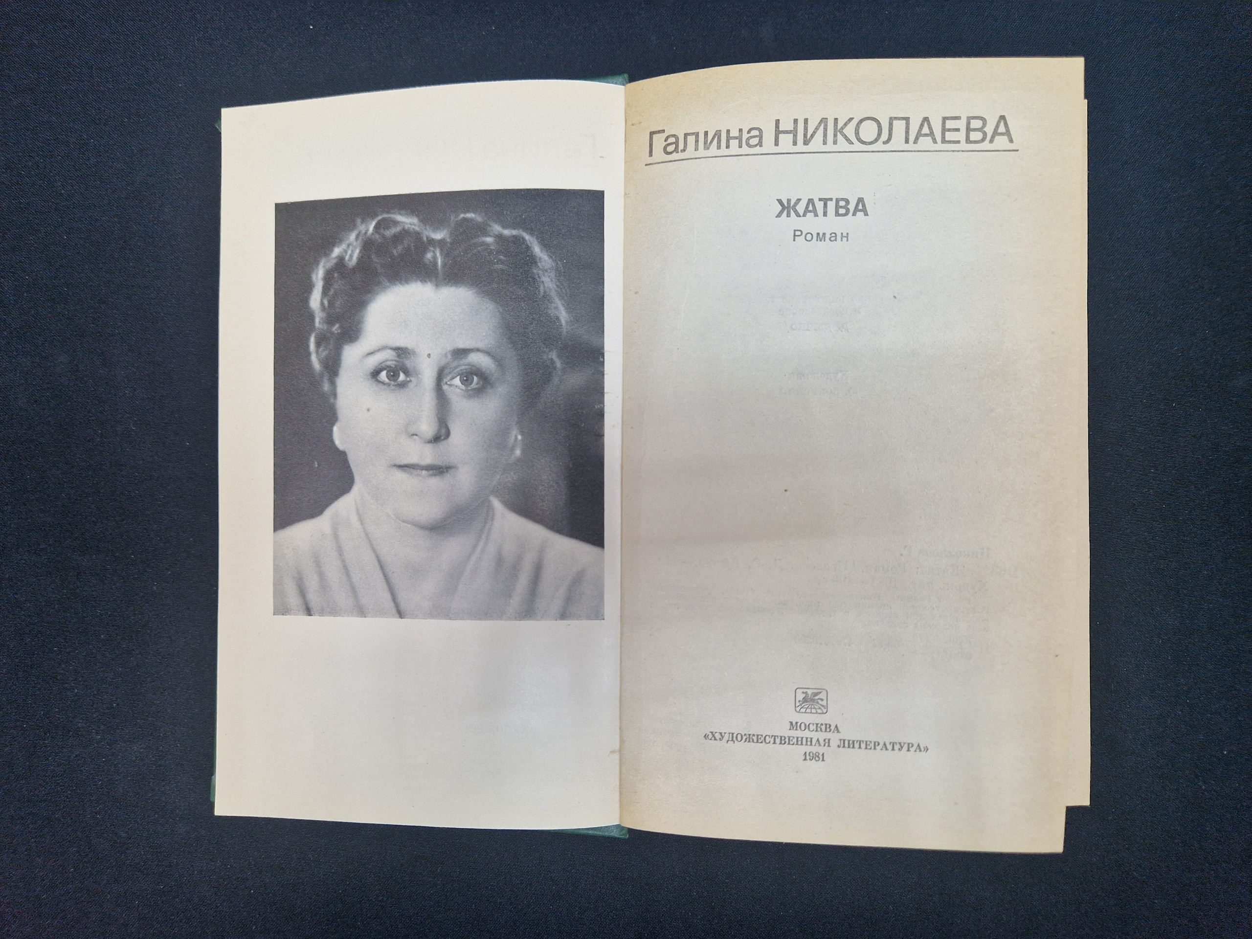 Картинка 5