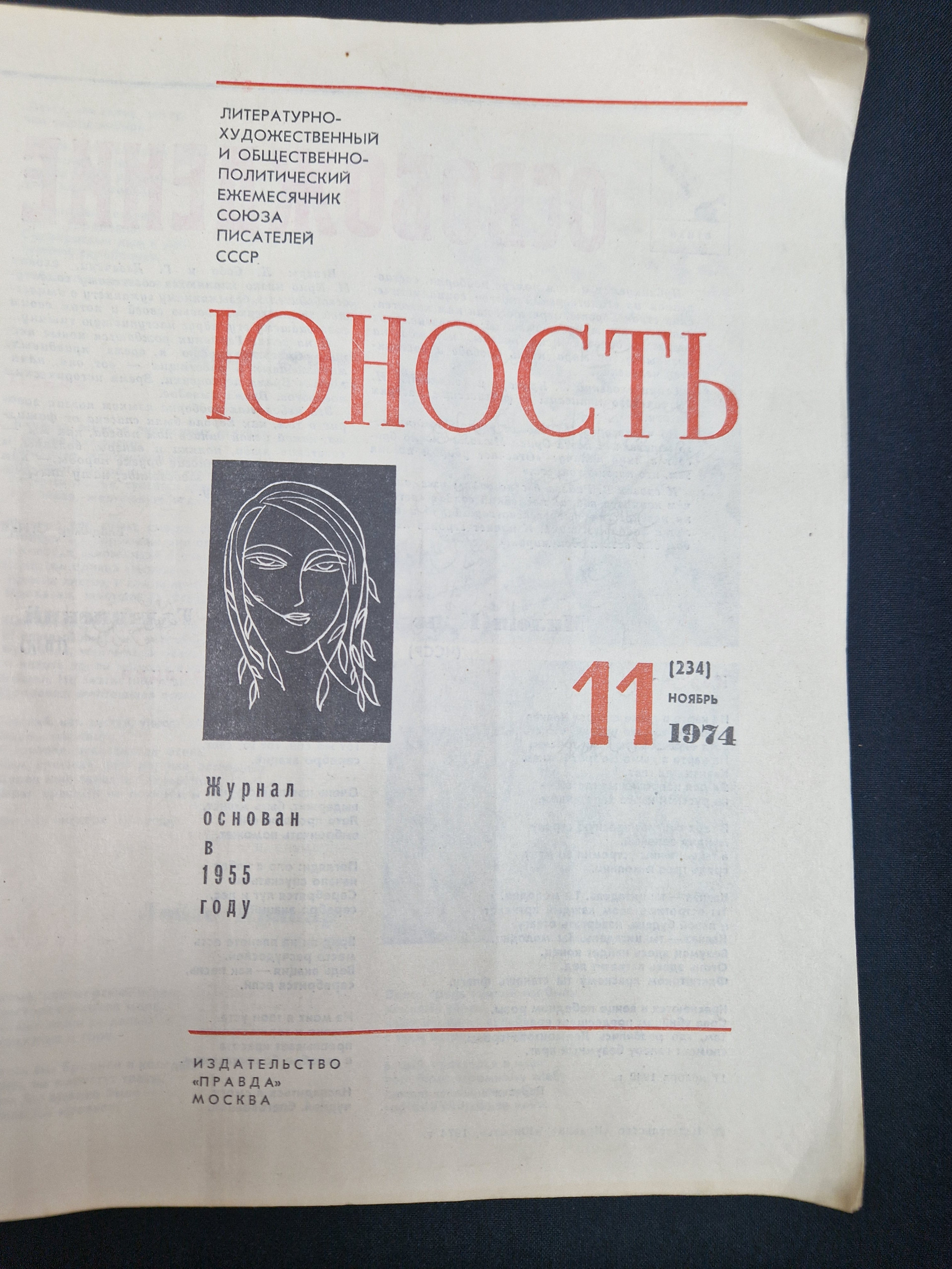 Картинка 4