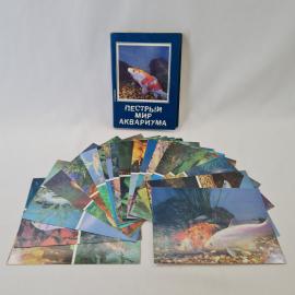 Картинка 1