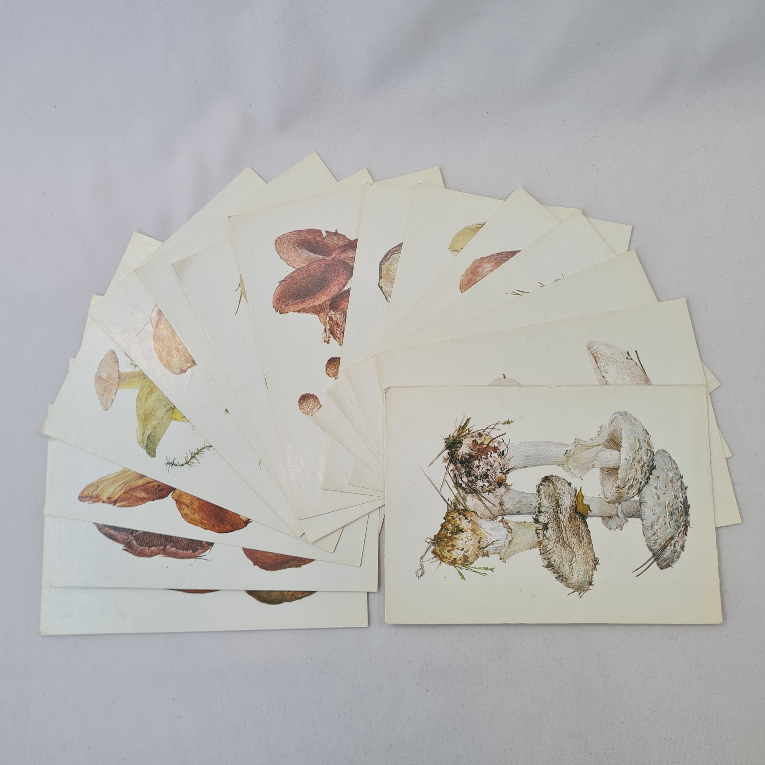 Картинка 2