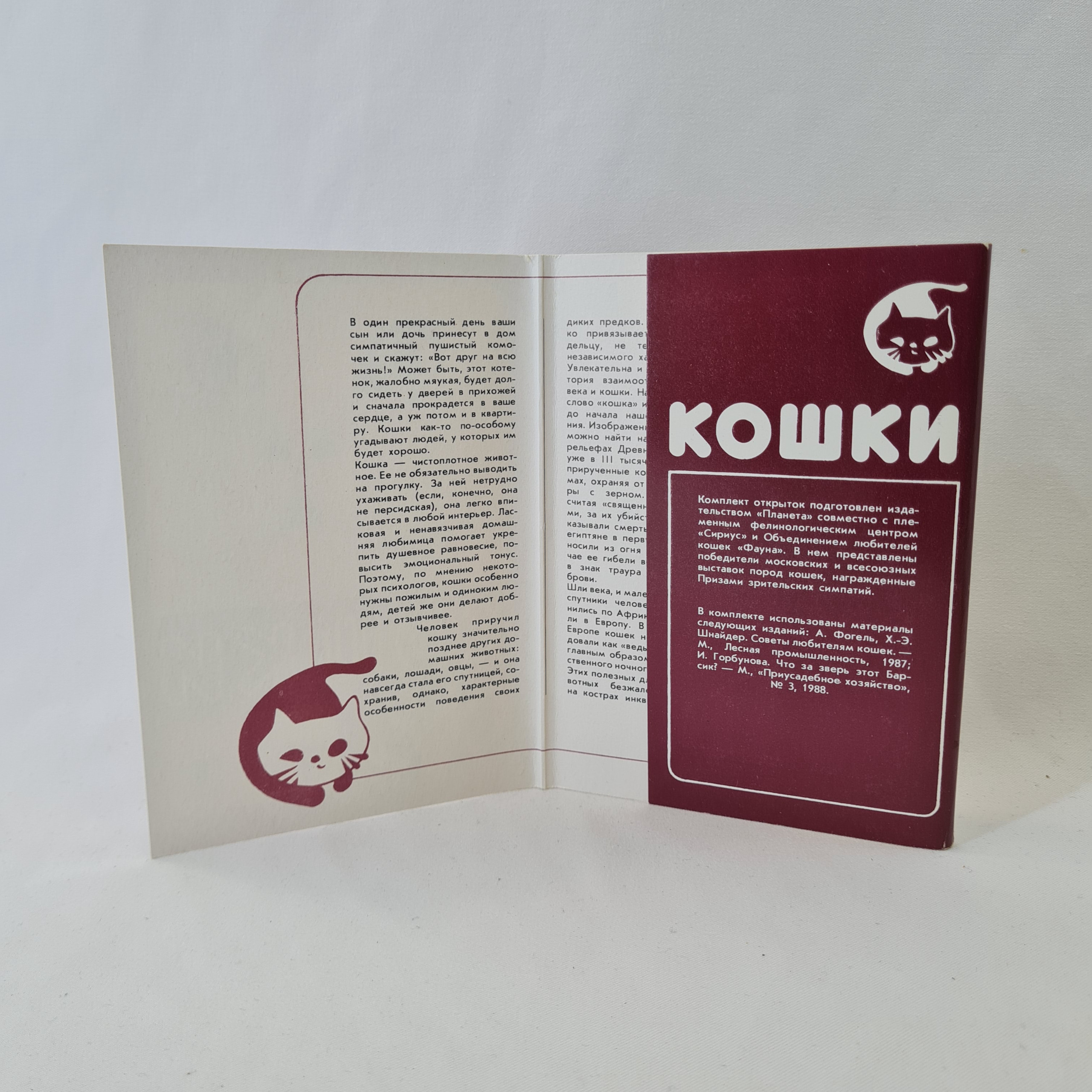 Картинка 3
