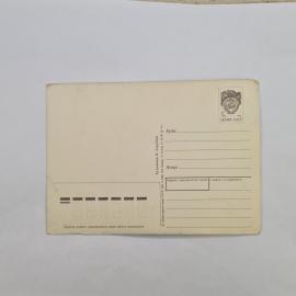 Картинка 2