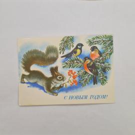 Картинка 1