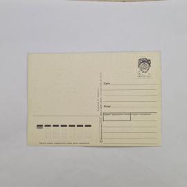 Картинка 2