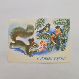Открытка советская СССР, старинная. С Новым годом, белка и снегири на еловых ветвях, винтаж