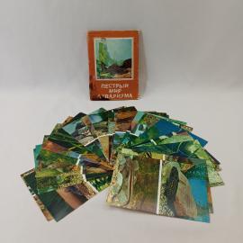 Открытка советская СССР,набор. Пестрый мир аквариума, сомы и рыбы. Водная фауна, винтаж