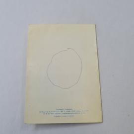 Картинка 3