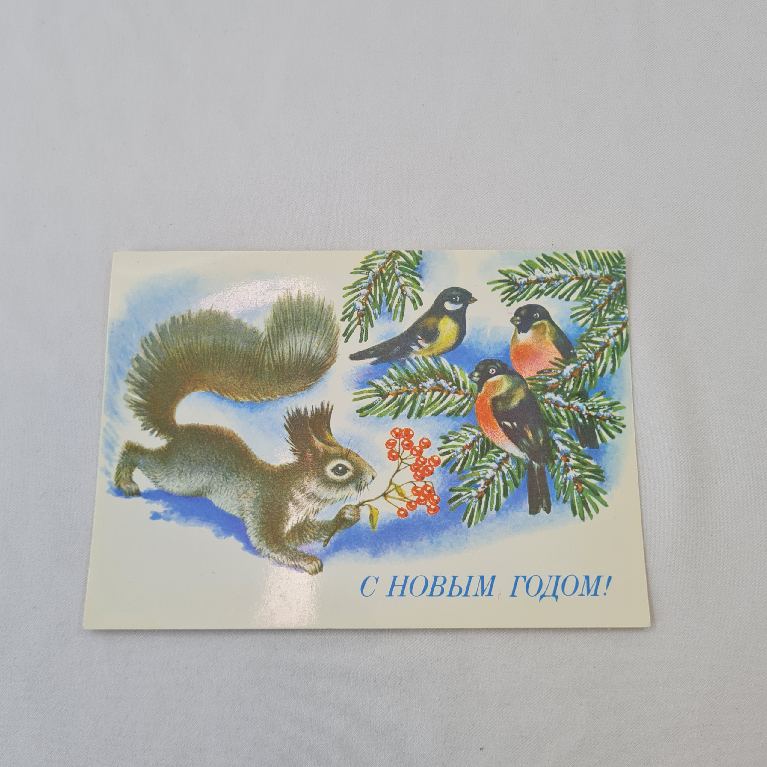 Картинка 1