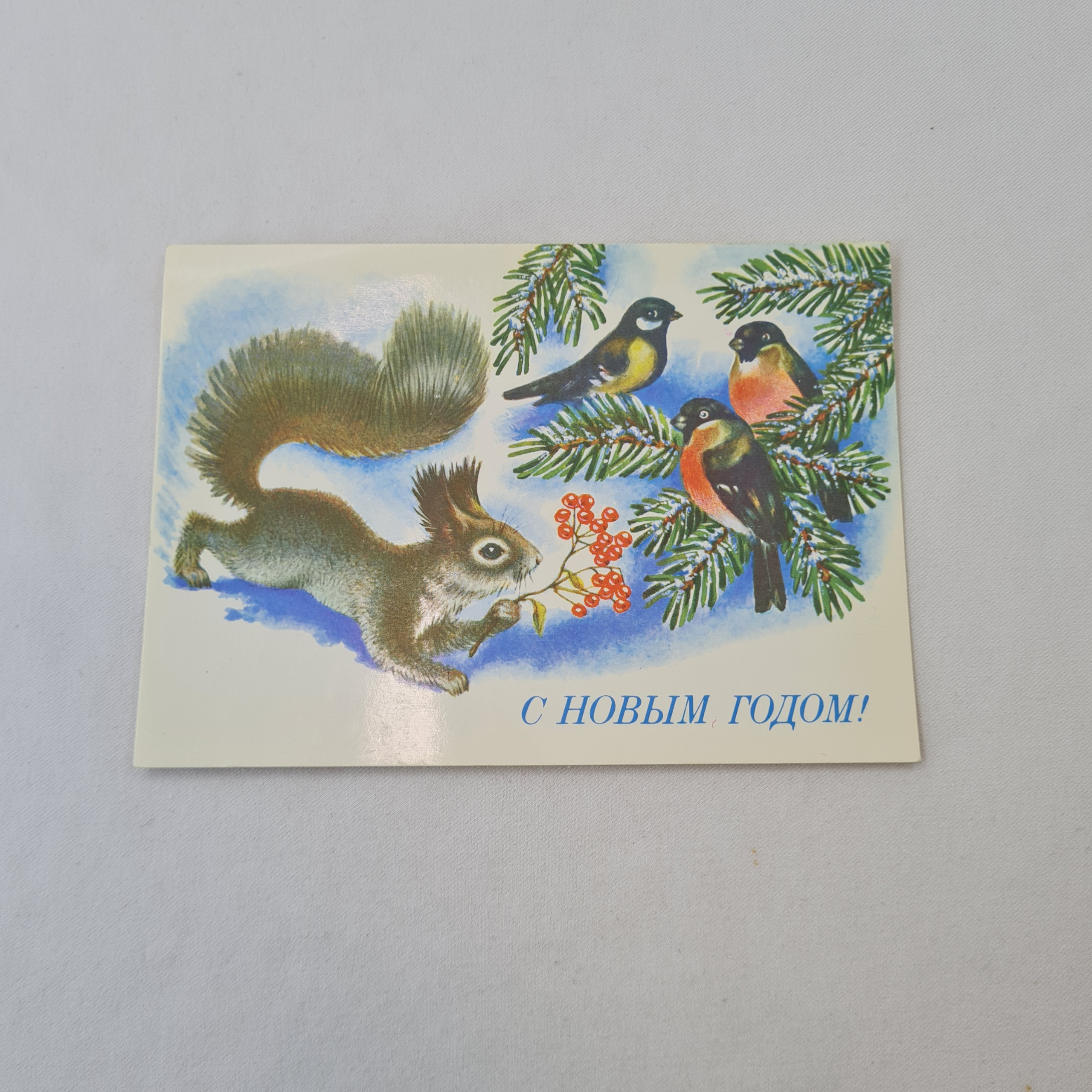Картинка 1