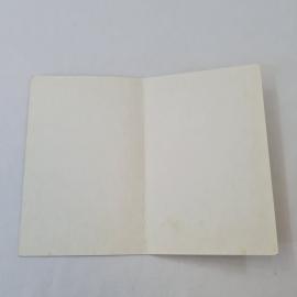 Картинка 2