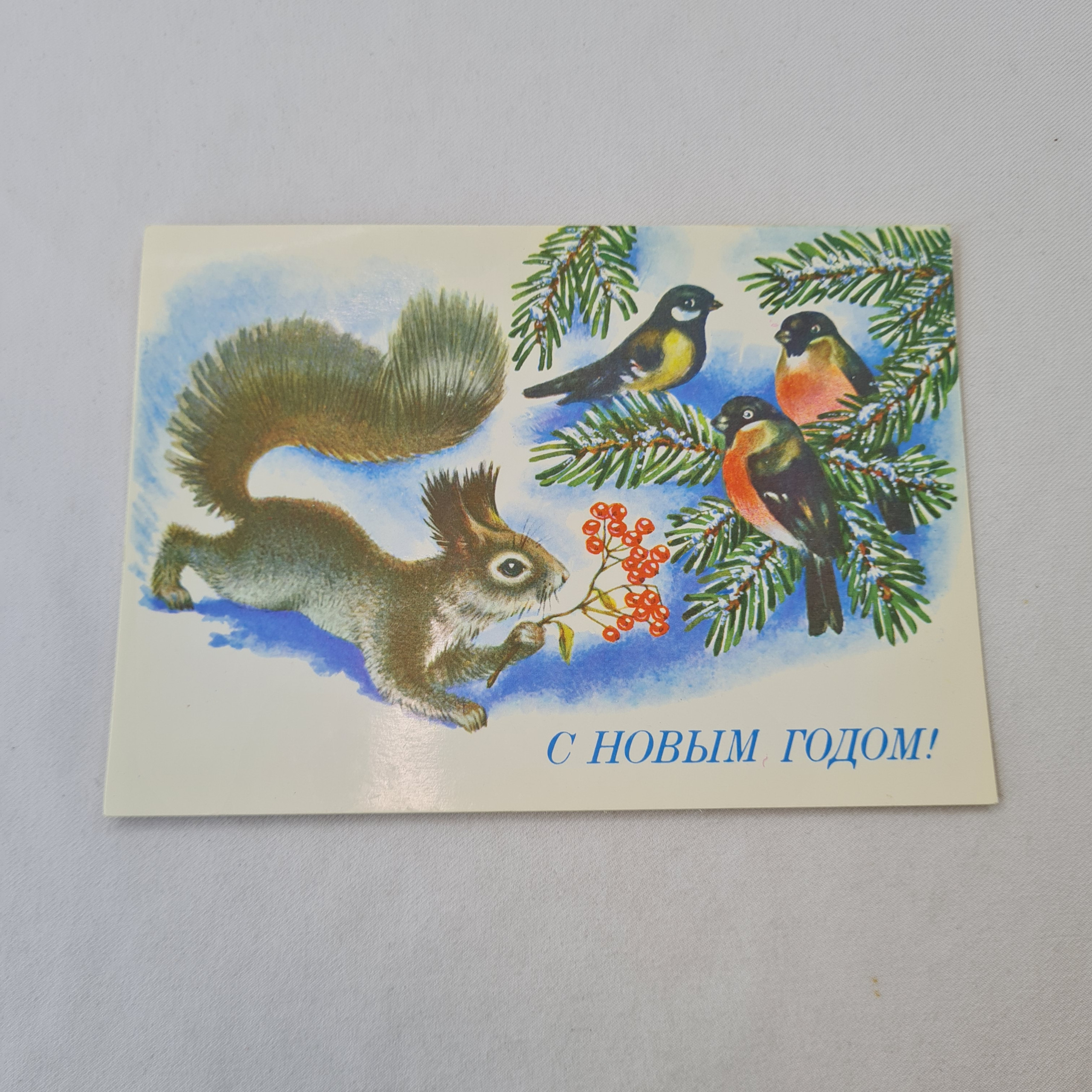 Картинка 1