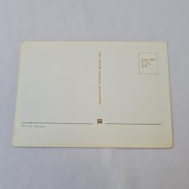 Картинка 2