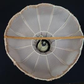 Картинка 8
