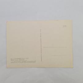 Картинка 2