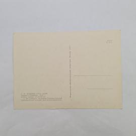 Картинка 2