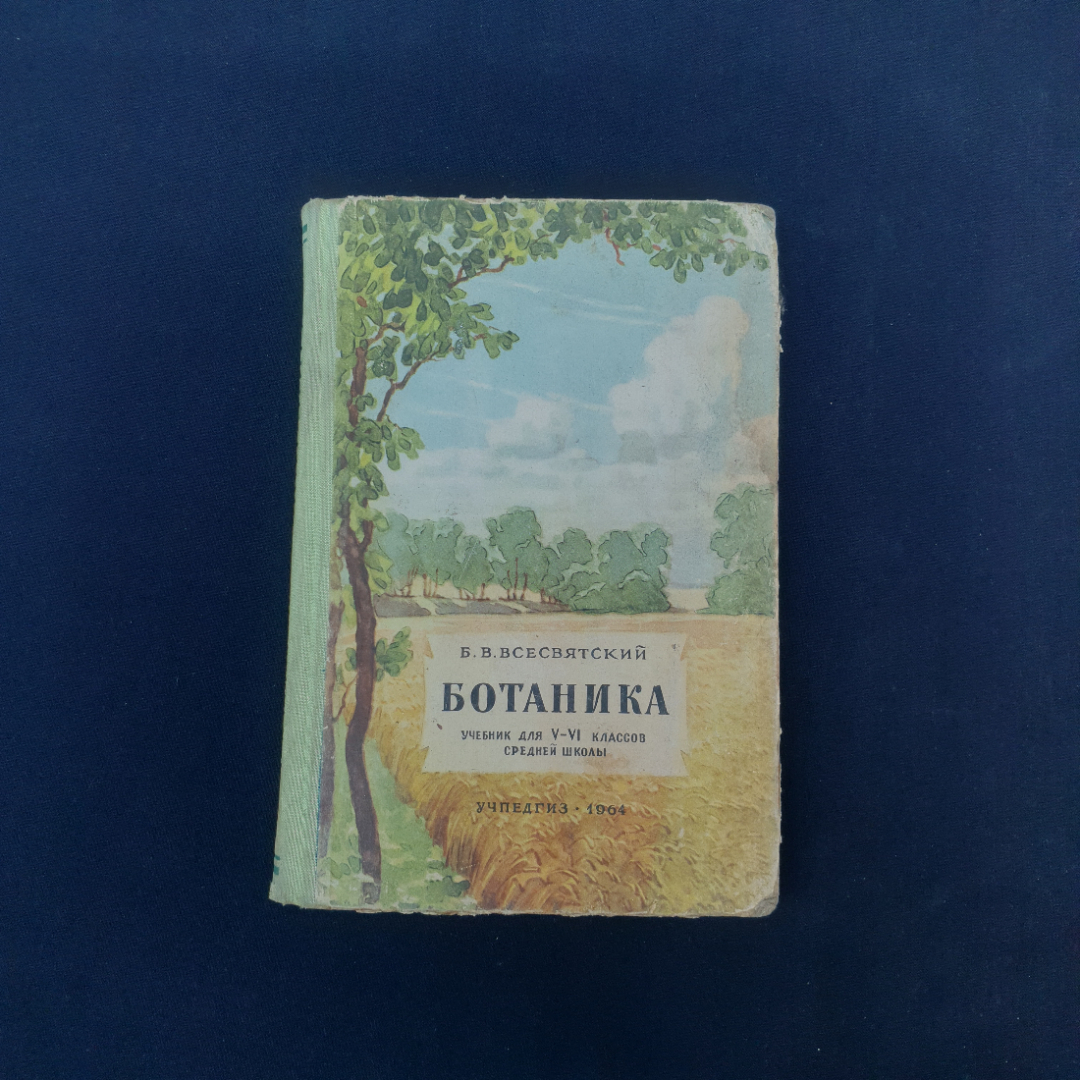 Картинка 1