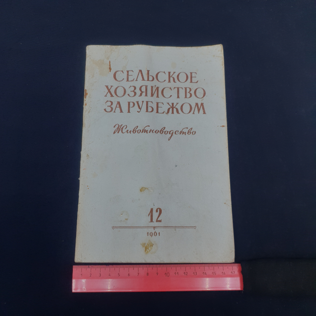Картинка 6