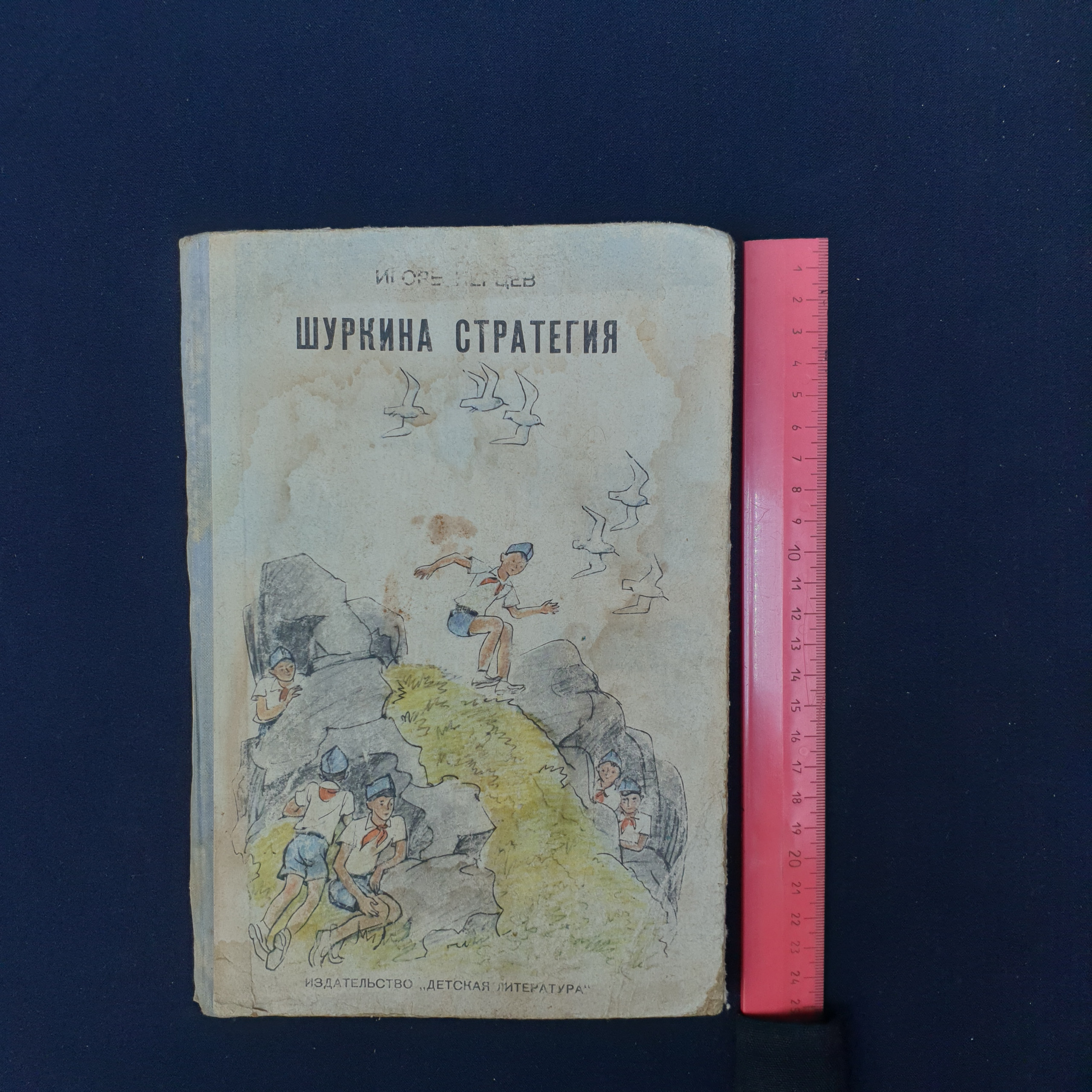 Картинка 4