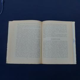 Картинка 3