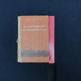 Картинка 6