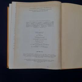 Картинка 4