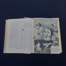 Картинка 3