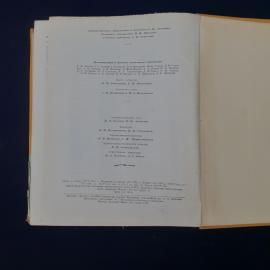 Картинка 4
