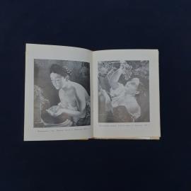 Картинка 3