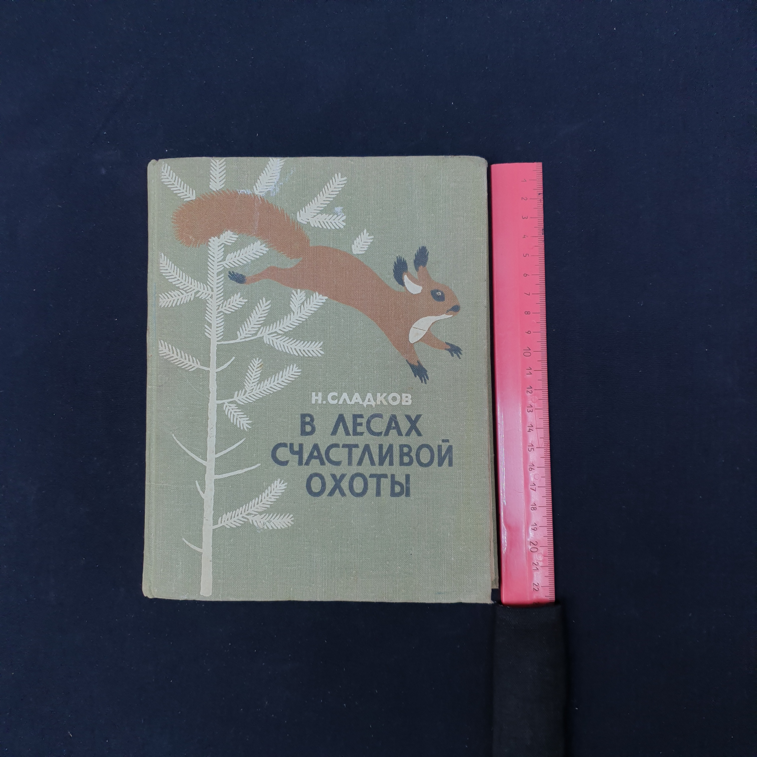 Картинка 5