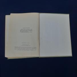Картинка 4
