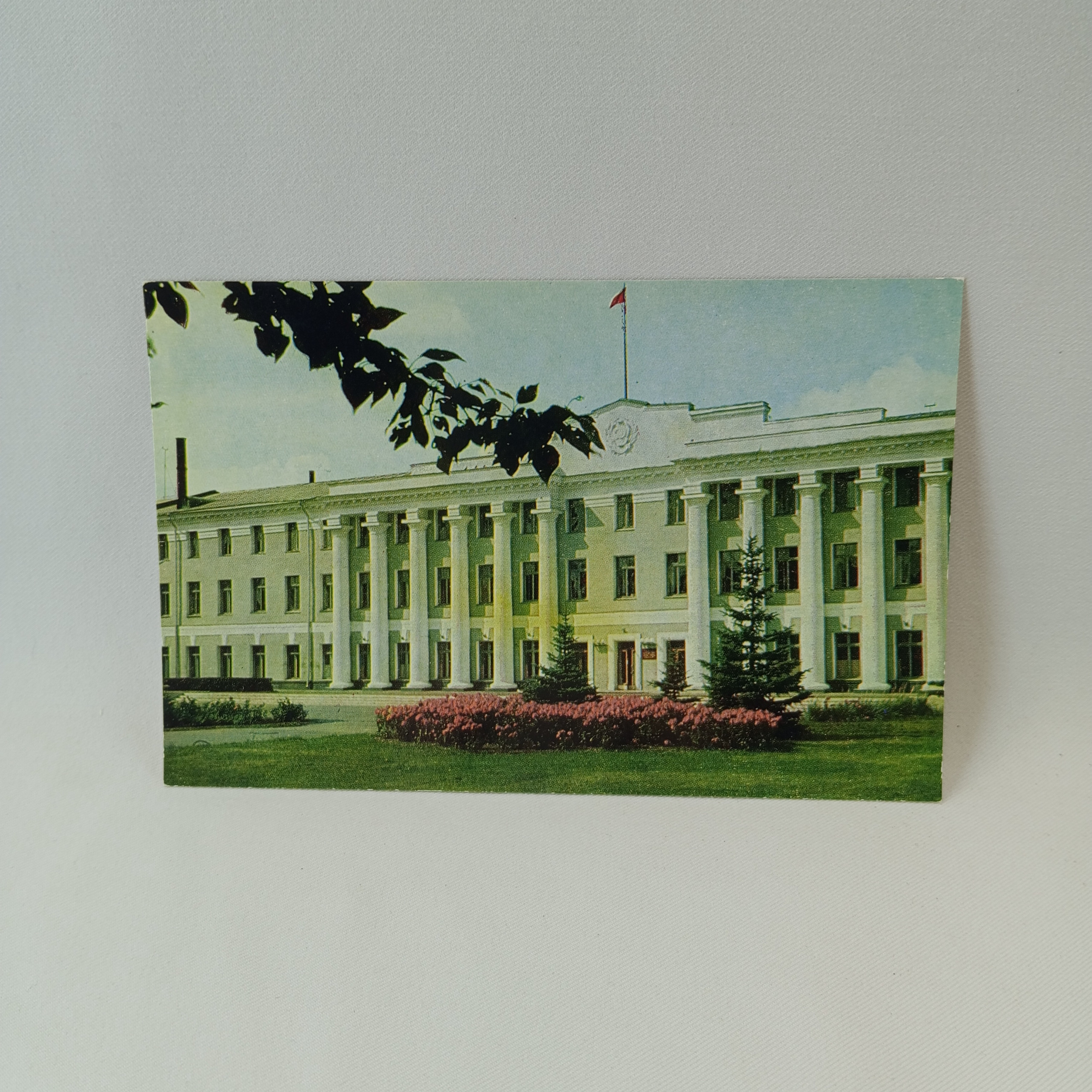 Картинка 1