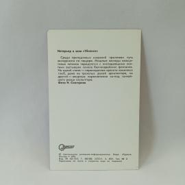 Картинка 2