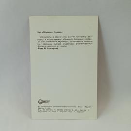 Картинка 2