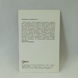 Картинка 2