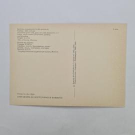 Картинка 2