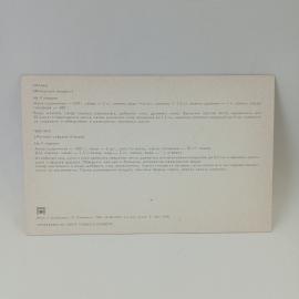 Картинка 2