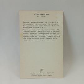 Картинка 2